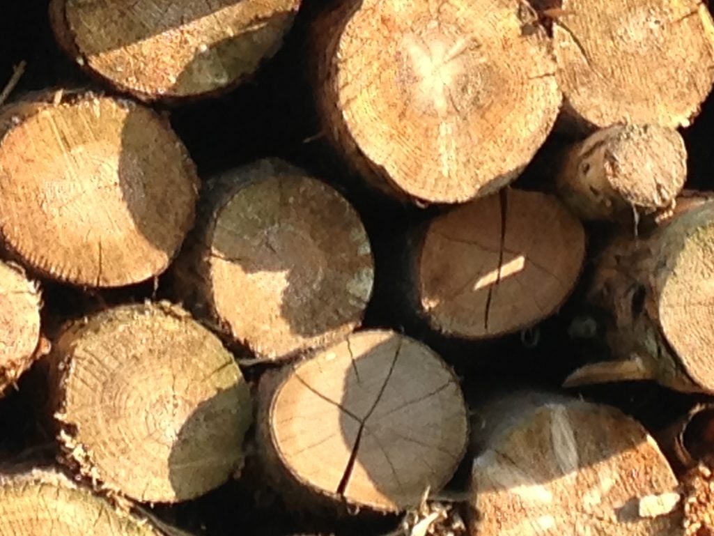 Timber7