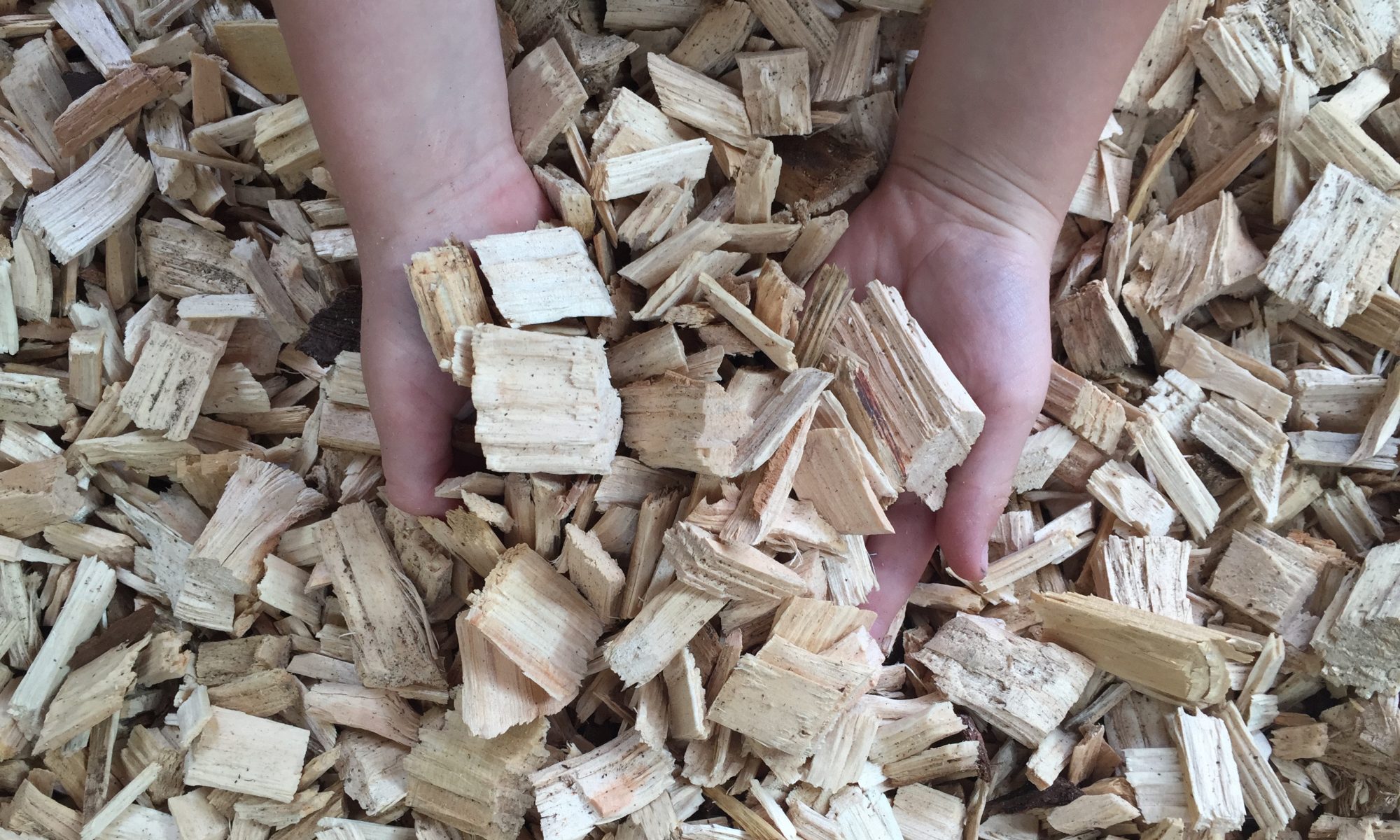 Woodchip Biomass Ltd